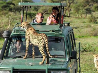 masai mara