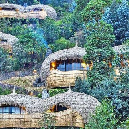 3-Day Luxury Gorilla Trekking Rwanda 3-Day Luxury Gorilla Trekking Rwanda