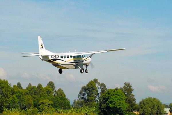 Gorilla Flying Safari