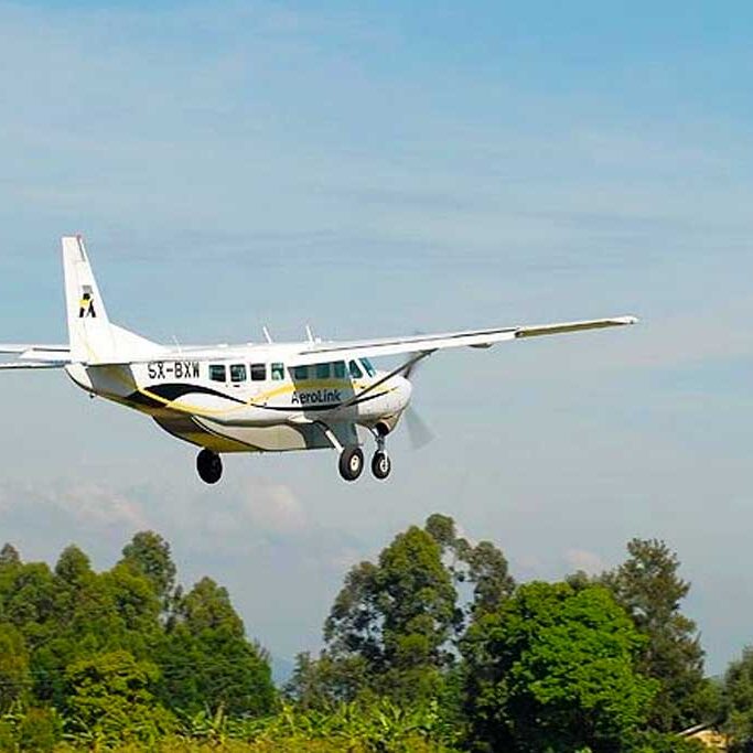 Gorilla Flying Safari