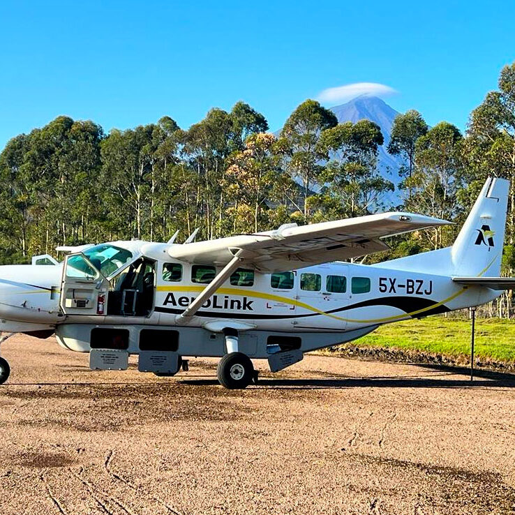 Gorilla Flying Safari Uganda