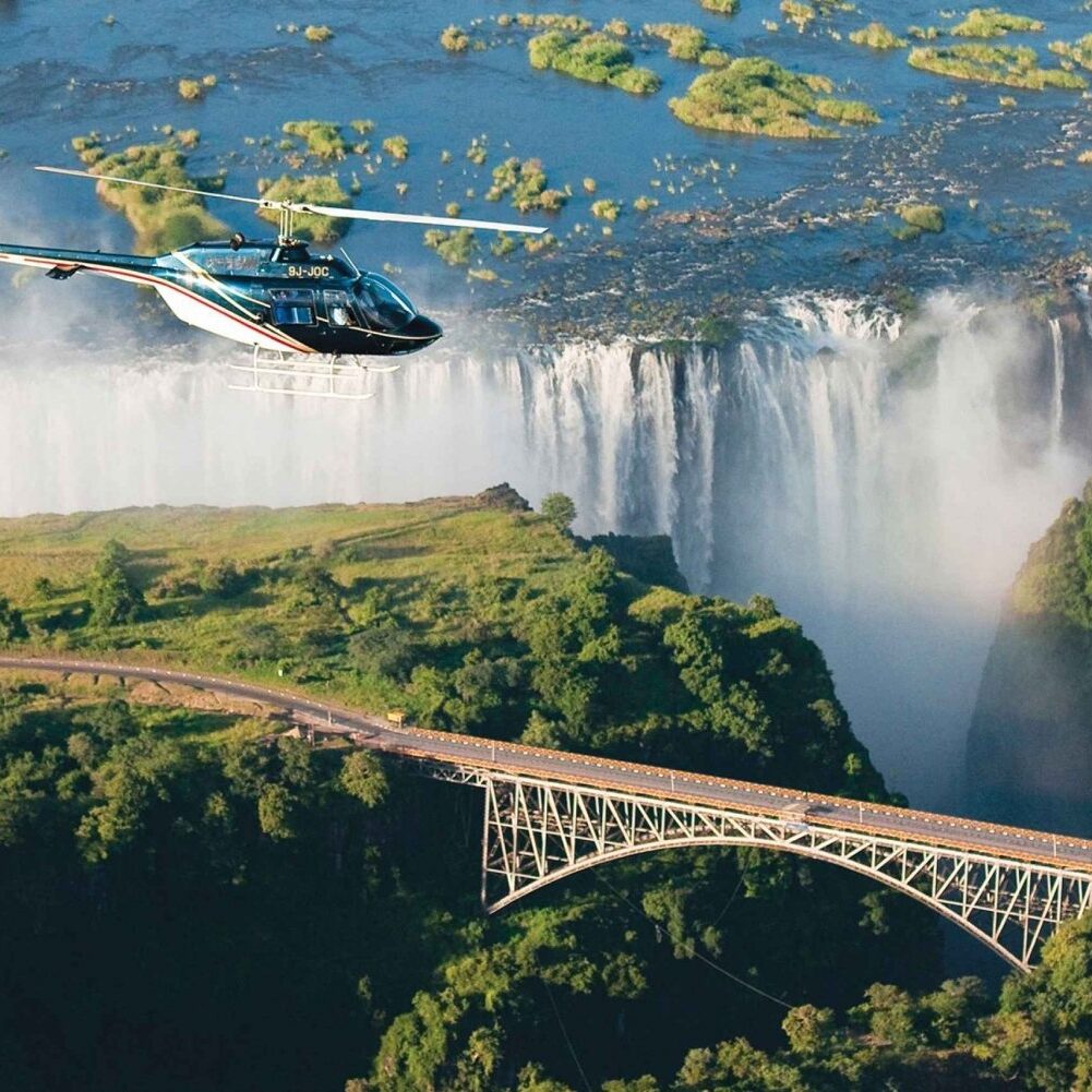 Gorillas and Victoria Falls