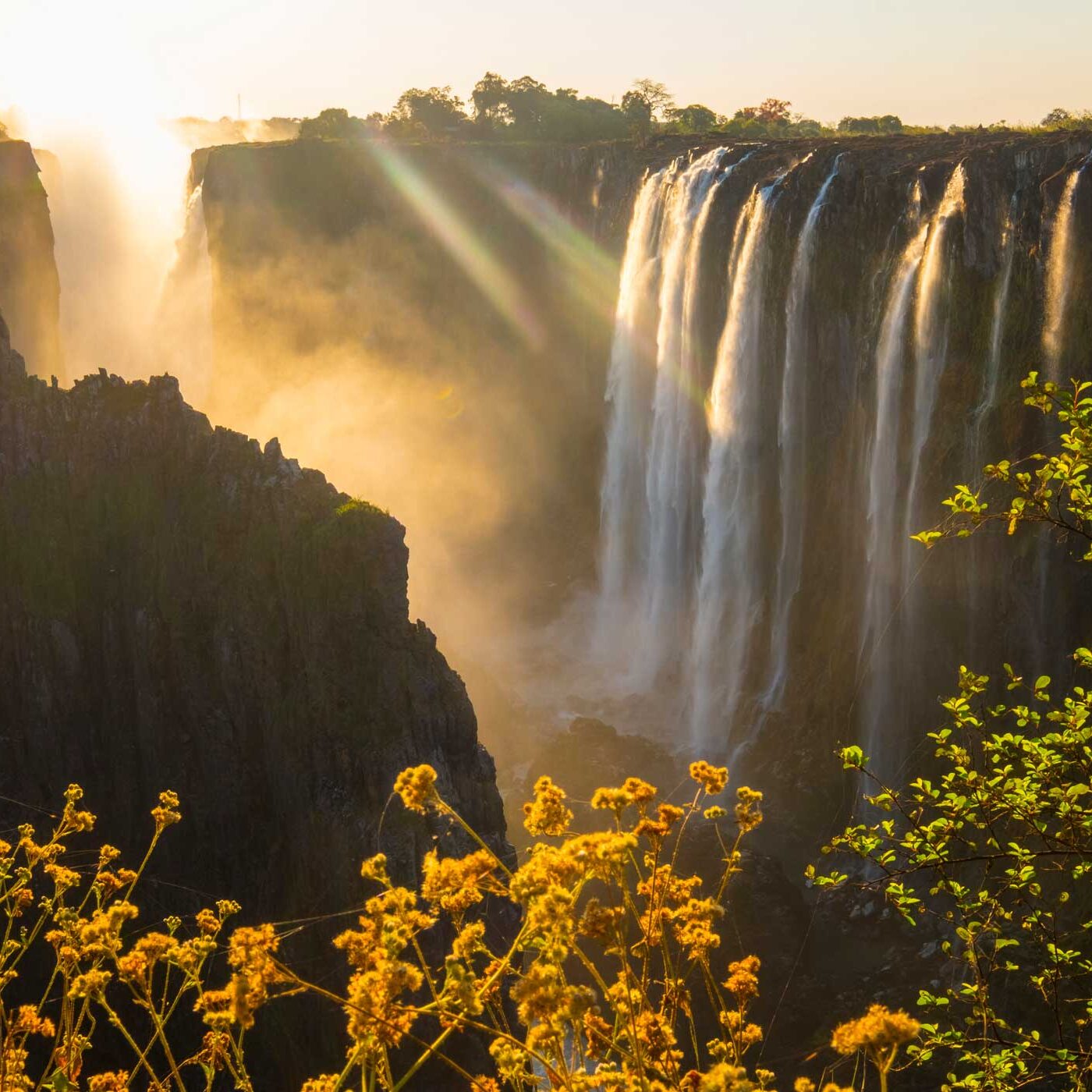 Gorillas and Victoria Falls