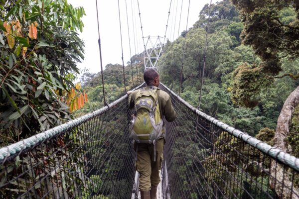 Nyungwe Forest National Park Nyungwe Forest National Park