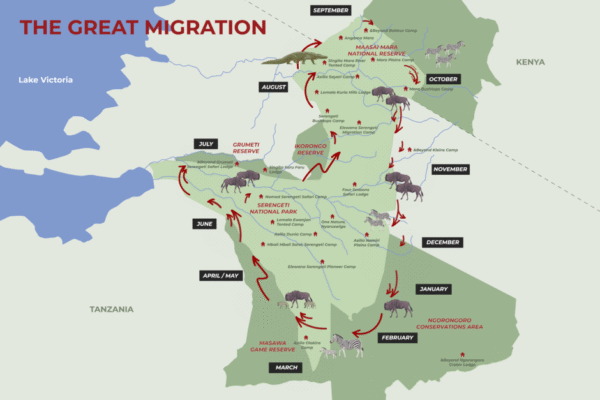 Wildebeest Migration Distance Wildebeest Migration Distance