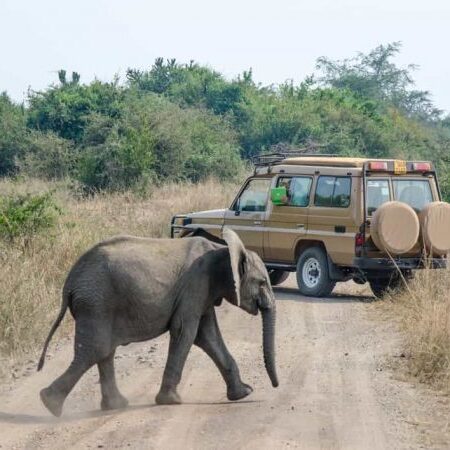 queen elizabeth national park