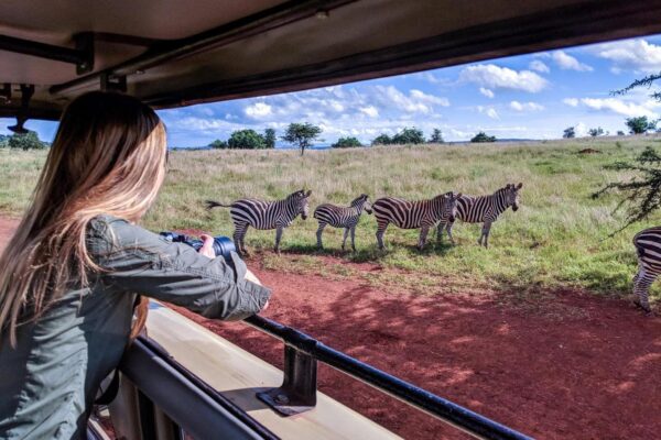 5-Day Rwanda Gorillas and Akagera Safari