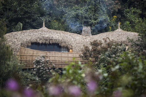 8-Day Luxurious Primate Expedition