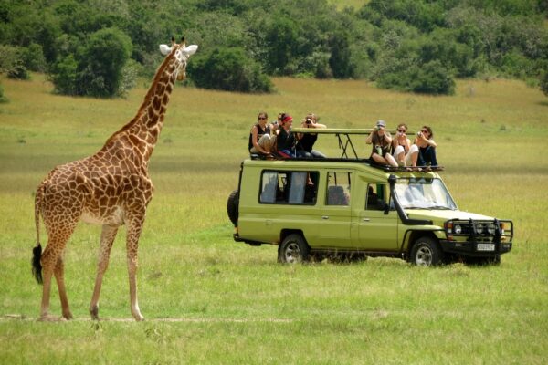 Ultimate 7-Day Uganda Wildlife Safari