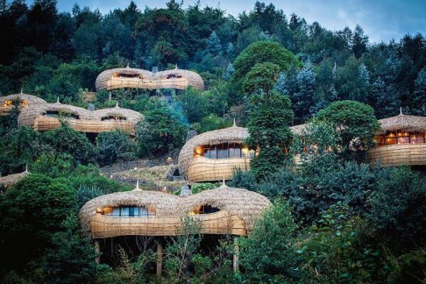 Bisate Lodge