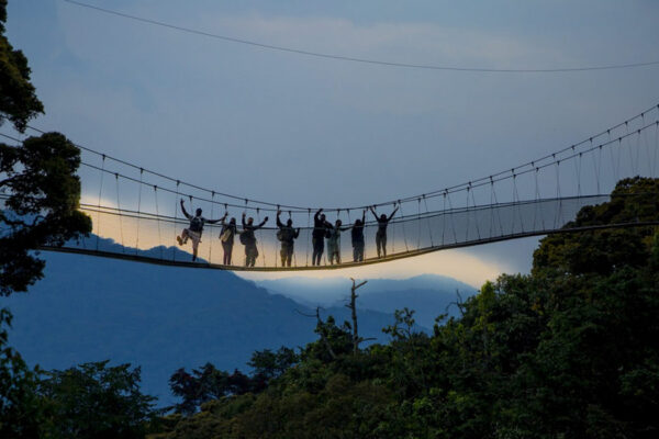 Canopy Walk