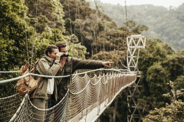 Rwanda Honeymoon Safari